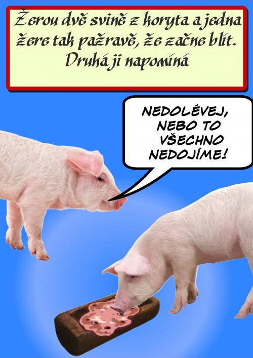 Do koryta sa nedolieva…