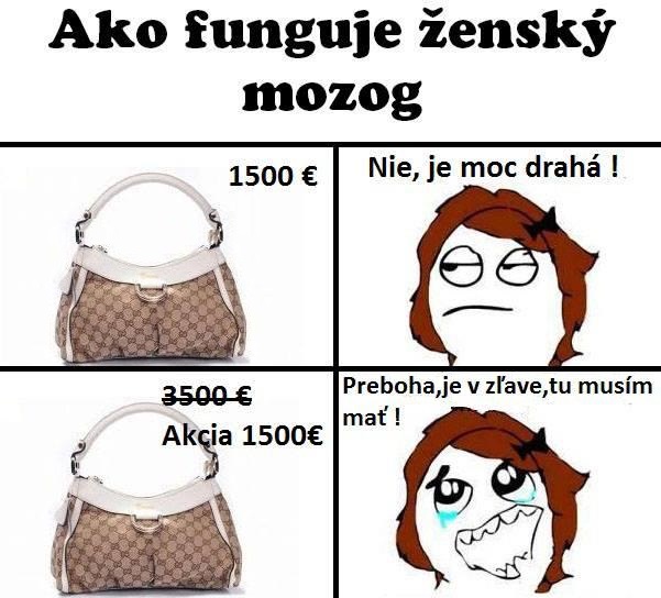 Fungovanie ženského mozgu…