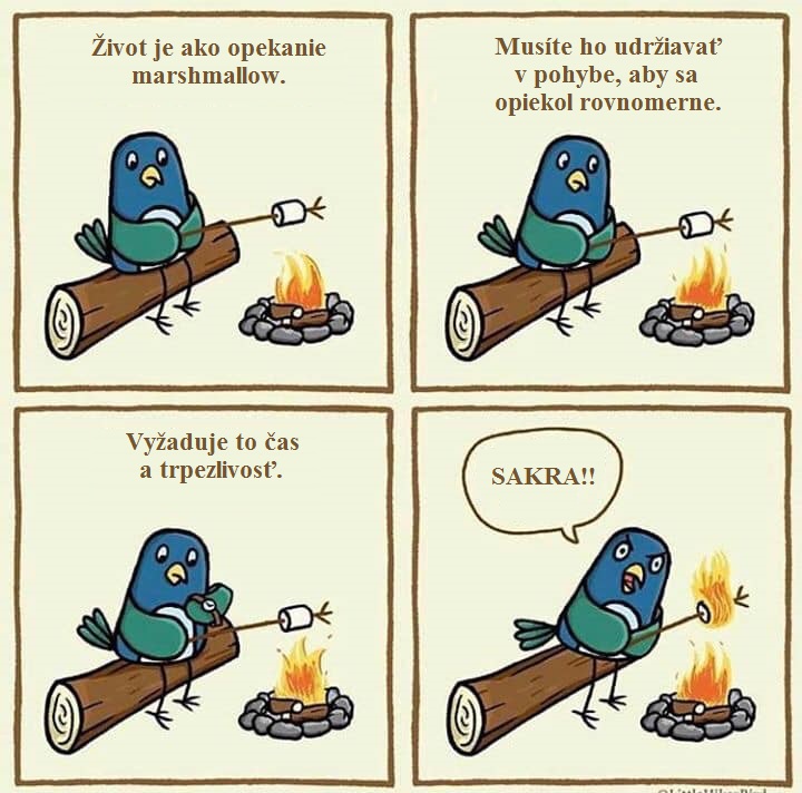 Život je ako opekanie marshmallow