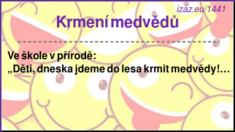 
Krmení medvědů
