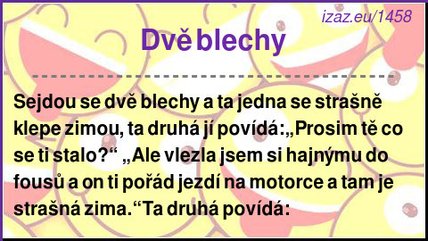 
Dvě blechy
