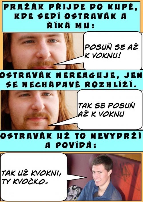 K voknu kvočka