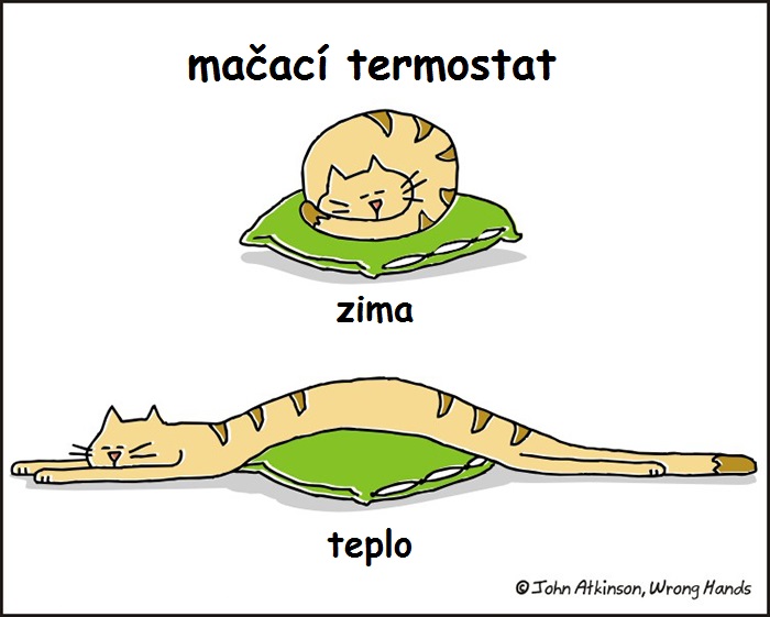 Mačací termostat