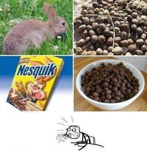 Nesquik a osvietenie