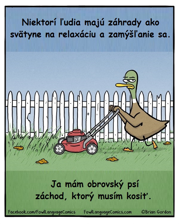 Obrovský psí záchod